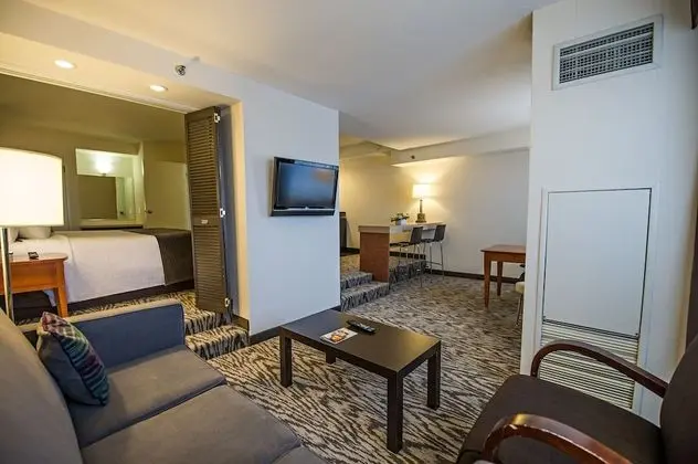 Superior Süit (1 Bedroom King)