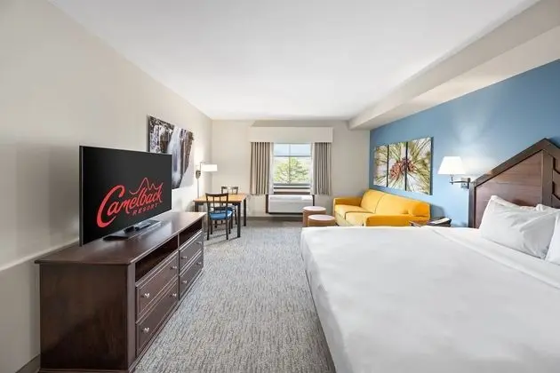 Süit, 1 En Büyük (King) Boy Yatak ve Çekyat (King Bunk Suite)