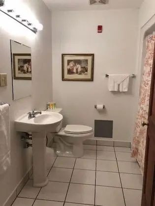 Standard Tek Büyük Yataklı Oda, Banyolu/Duşlu (Napoleon Room 5)