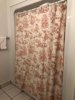 Standard Tek Büyük Yataklı Oda, Banyolu/Duşlu (Napoleon Room 5)