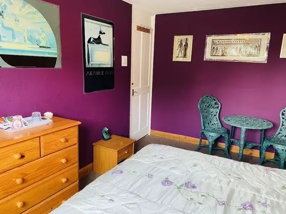 Superior Tek Büyük Yataklı Oda, Ortak Banyo, Bahçe Manzaralı (Egyptian Room)