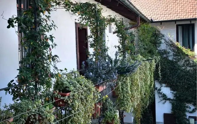 Oda, 1 Yatak Odası, Mikrodalga