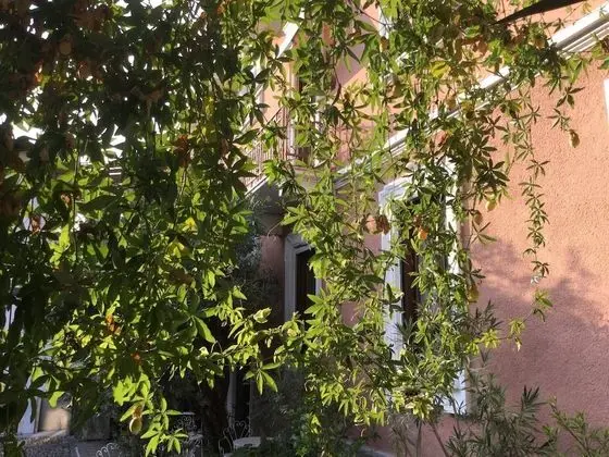 Oda, 1 Yatak Odası, Mikrodalga