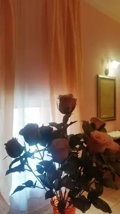 Tek Büyük Yataklı Oda, Özel Banyo (External)