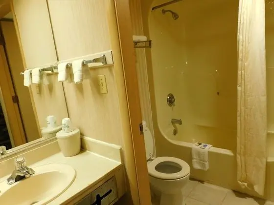 Standard Tek Büyük Yataklı Oda, 2 Çift Kişilik Yatak, Sigara İçilebilir