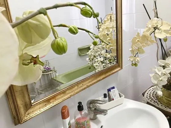 Luxury Üç Kişilik Oda, Sigara İçilmez