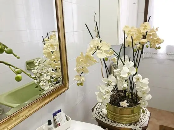 Luxury Üç Kişilik Oda, Sigara İçilmez