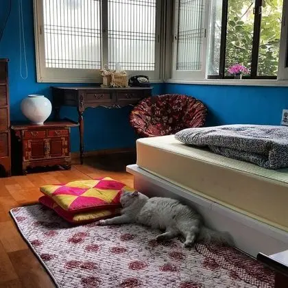 Basic Oda, 1 Yatak Odası, Sigara İçilmez, Küçük Mutfak