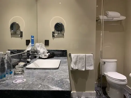 Deluxe Oda, 2 Çift Kişilik Yatak