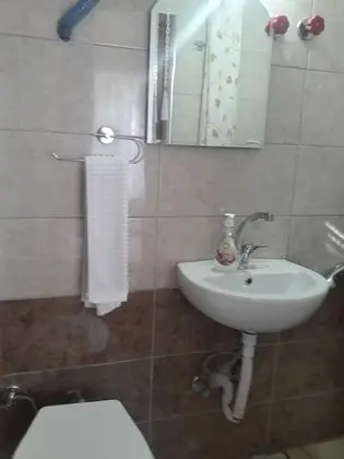 Standard Orman Manzaralı