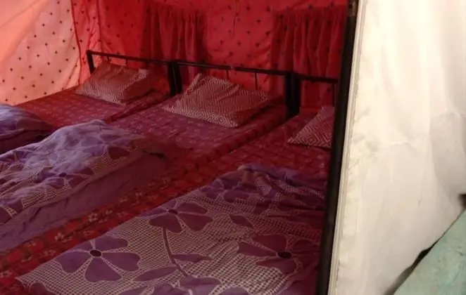 Deluxe Çadır
