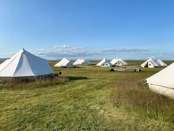 Deluxe Çadır, 1 En Büyük (King) Boy Yatak, Ortak Banyo