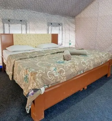 Premium Çadır