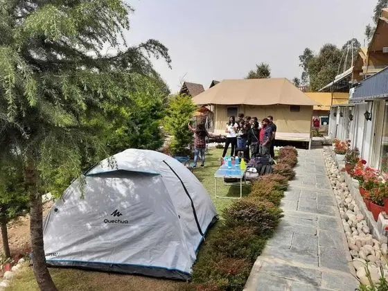 Dome Tents