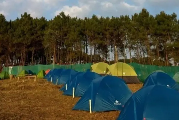 Basic Çadır