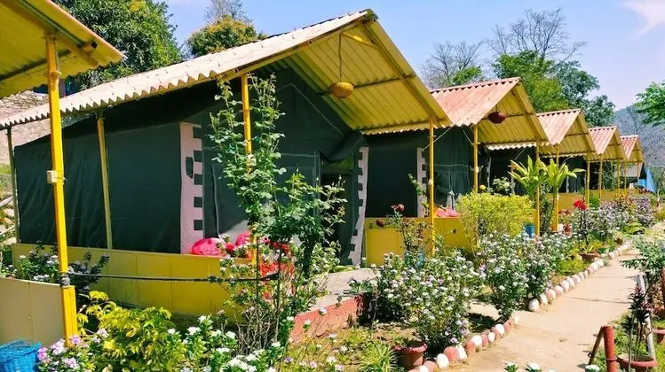 Standard Çadır