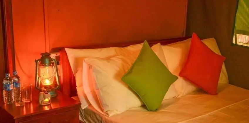 Luxury Çadır, Park Manzaralı