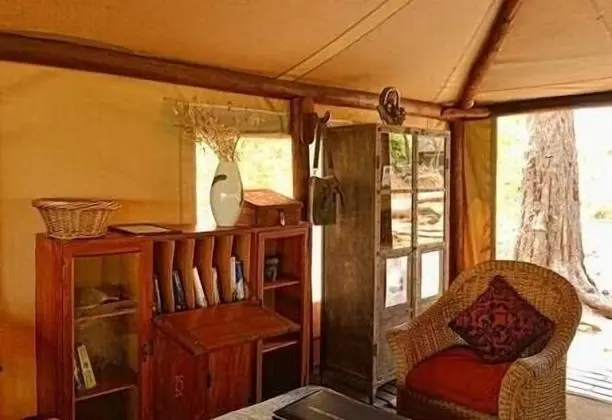 Luxury Çadır
