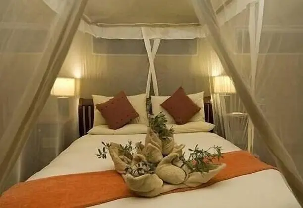 Luxury Çadır