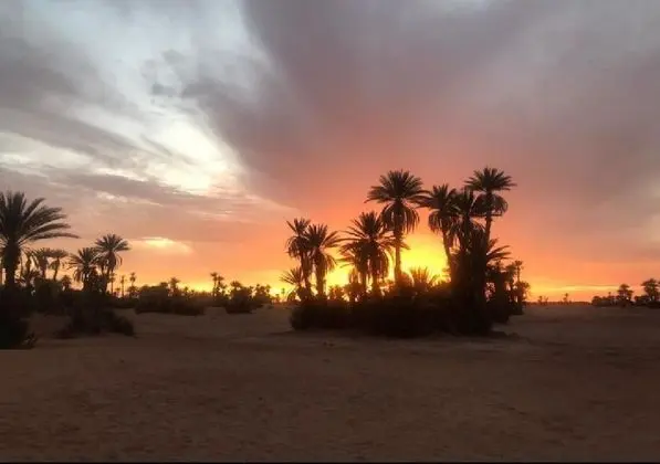 Deluxe Çadır, Özel Banyo (4 Pax)