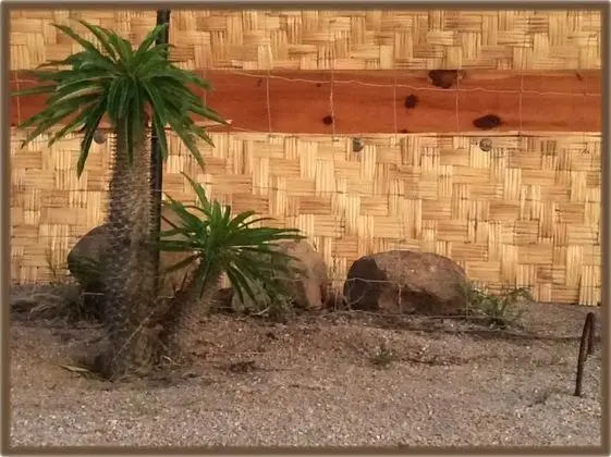 Ortak Ranzalı Oda, 1 Yatak Odası, Veranda