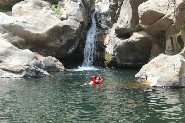 Basic Çadır, 1 Tek Kişilik Yatak