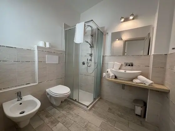 Deluxe Büyük Yataklı Tek Kişilik Oda