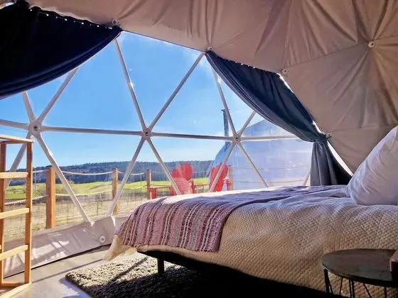 Luxury Çadır, 1 En Büyük (King) Boy Yatak, Üzüm Asması Manzaralı