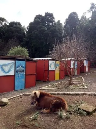 Basic Kulübe, 1 Yatak Odası, Ortak Banyo (Casetas Islas Canarias)