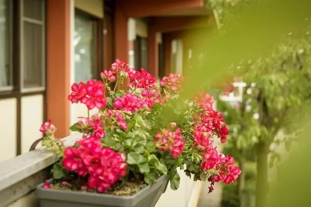 Standard Oda, 2 Tek Kişilik Yatak