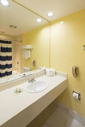 Deluxe Tek Büyük Yataklı Oda, 2 Çift Kişilik Yatak