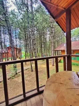 Deluxe Bungalow, Orman Manzaralı