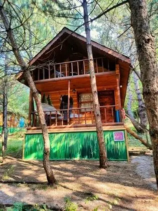 Deluxe Bungalow, Orman Manzaralı