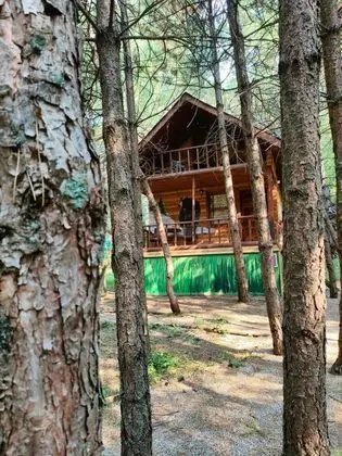 Deluxe Bungalow, Orman Manzaralı