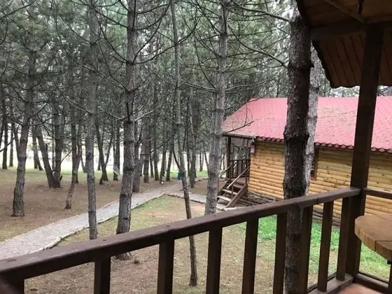 Dubleks Bungalov Ev