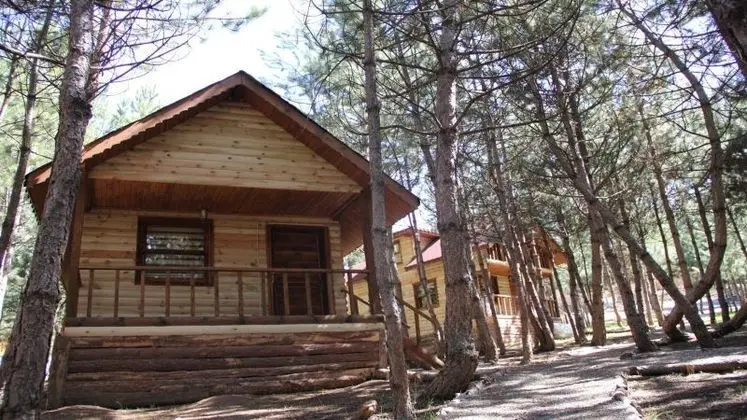Tek Katlı Standart Bungalov Ev
