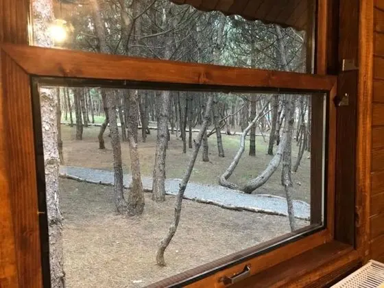 Tek Katlı Standart Bungalov Ev