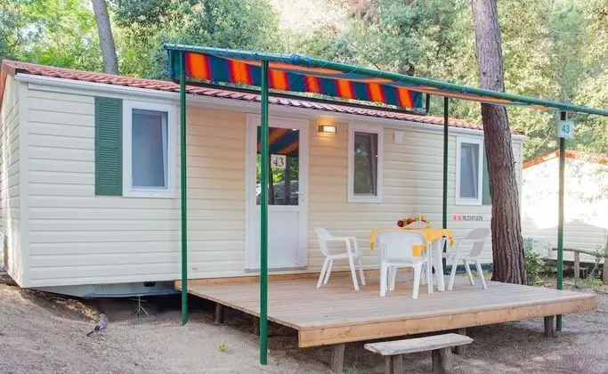 Standard Karavan