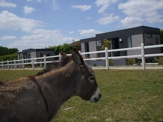 Karavan, 2 Yatak Odası (TAOS 4 persons)