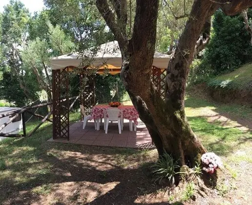 Dağ Evi, Bahçe Manzaralı