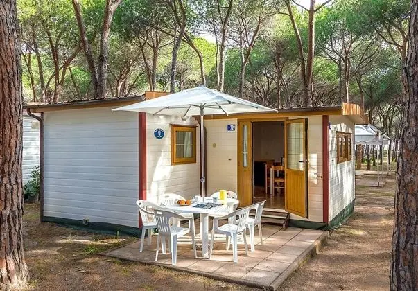 Luxury Karavan