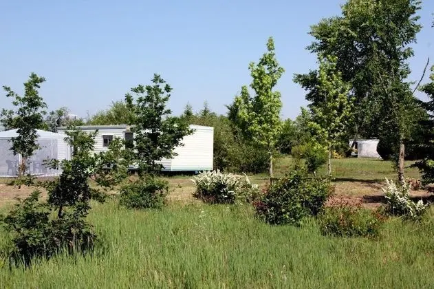 Comfort Karavan, Birden Çok Yatak, Teras, Bahçe Manzaralı