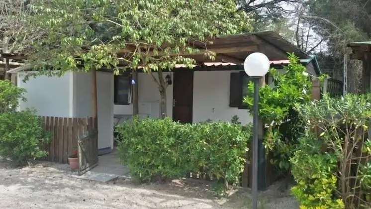 Karavan, Birden Çok Yatak (5 POSTI)