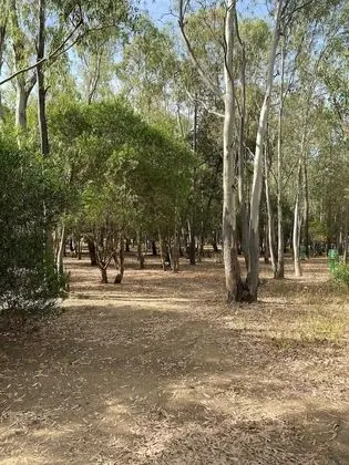 Karavan
