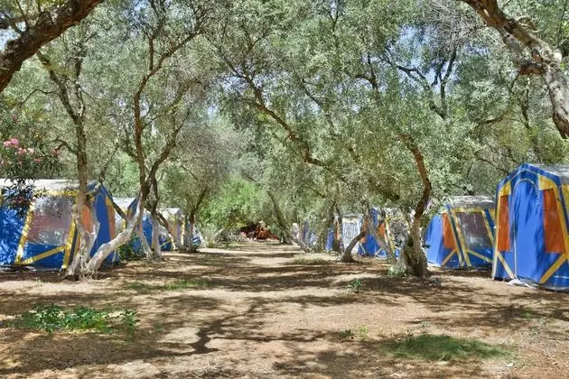Family Tent