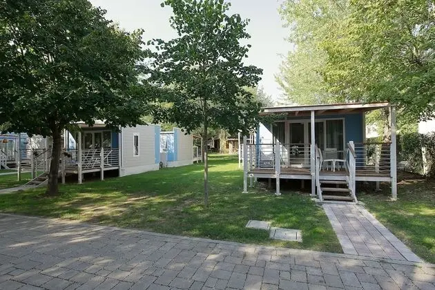 Süit