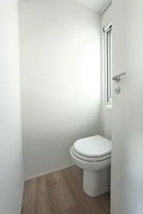 Süit