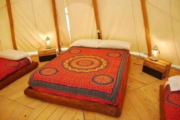 Premium Çadır (Indian)