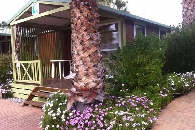 Bungalov, Bahçe Manzaralı