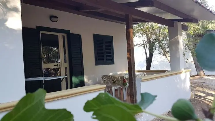 Stüdyo, 1 Yatak Odası